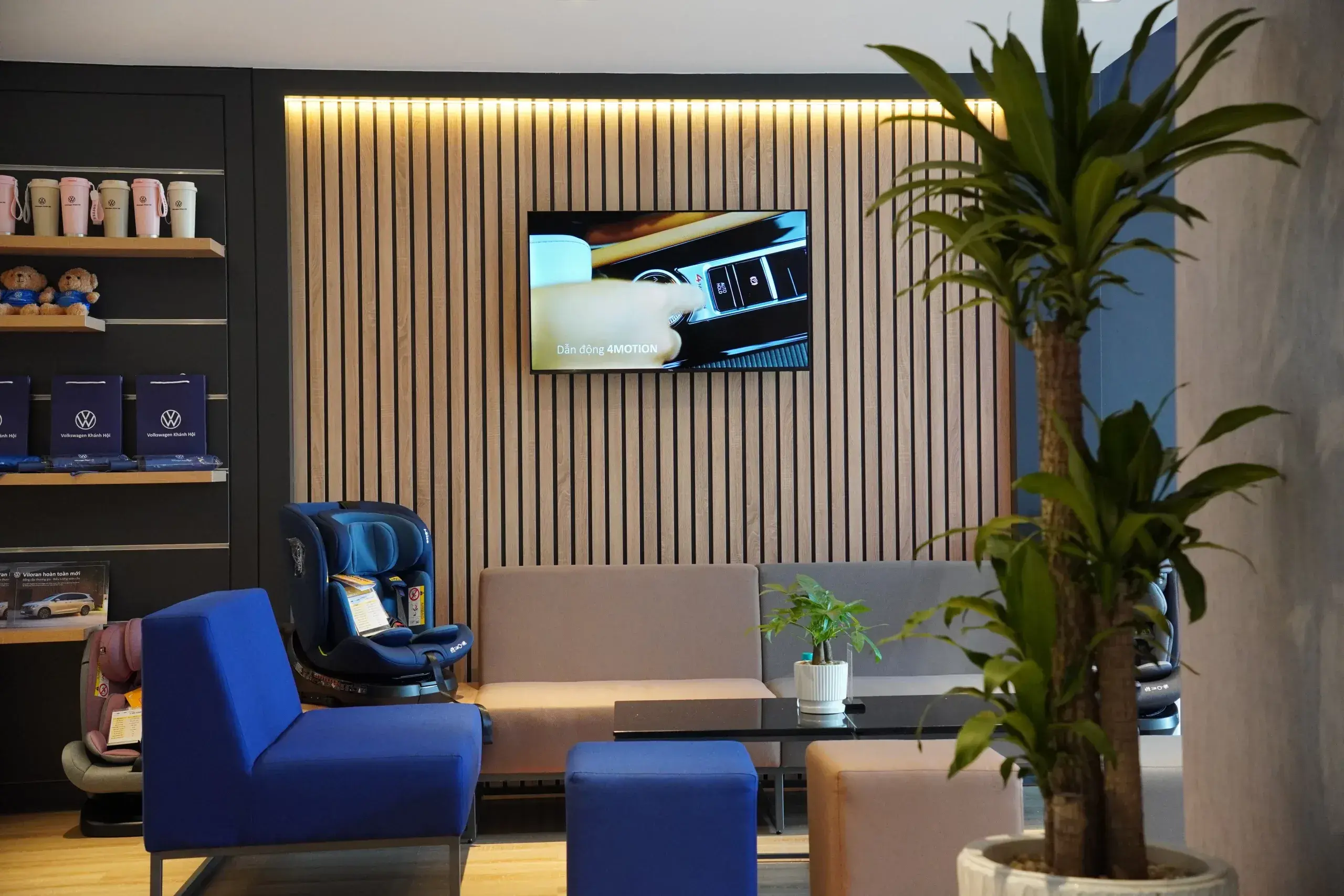Giới thiệu Showroom 5